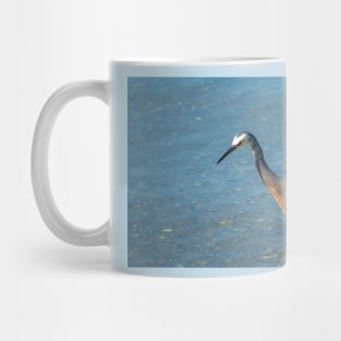 Grey Heron wading in shallows Mug